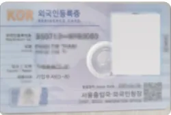 베트남 기업가 D8비자 외국인등록증(개인정보 가림)